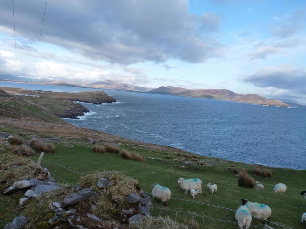Skellig Cottages バリンズケリグス エクステリア 写真