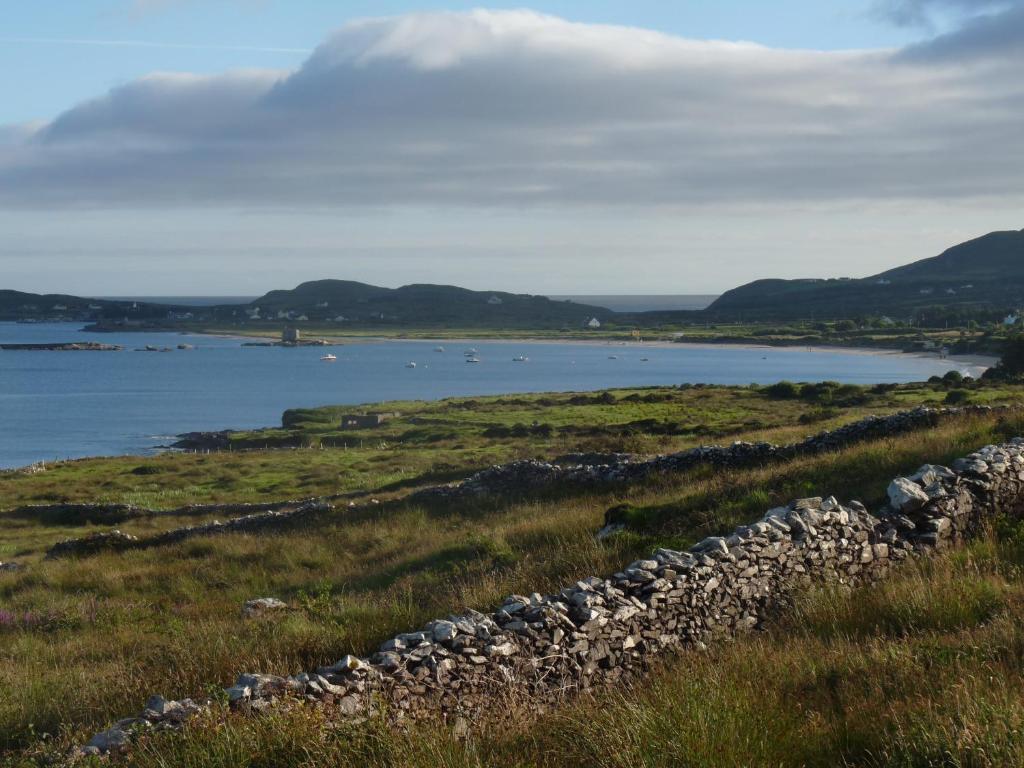 Skellig Cottages バリンズケリグス エクステリア 写真